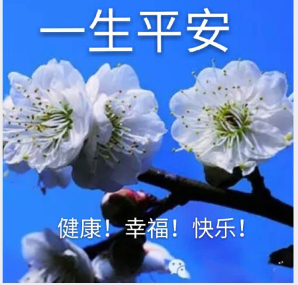 嘉清风|廉洁相伴 一生平安