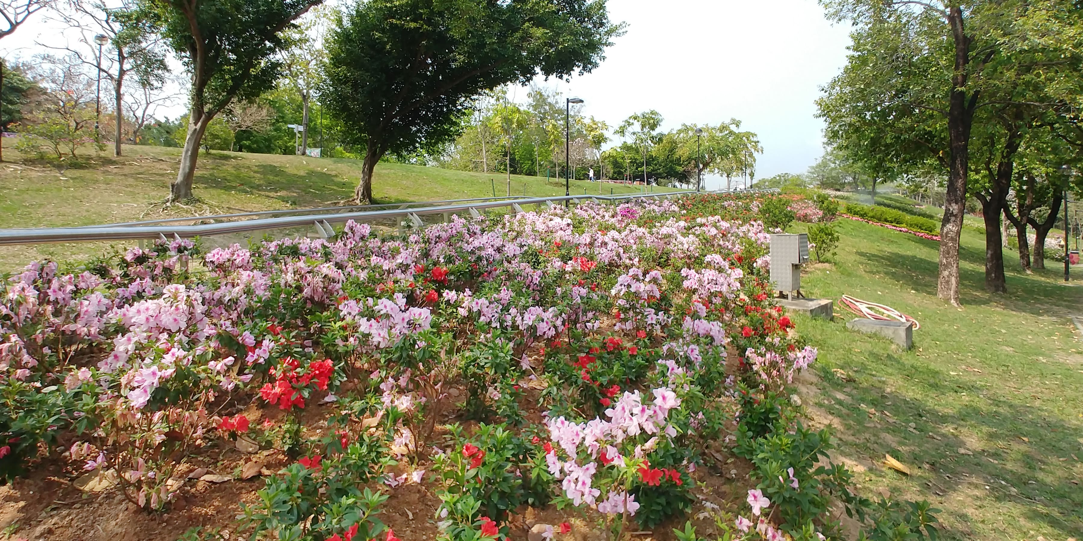 2021花卉展覽