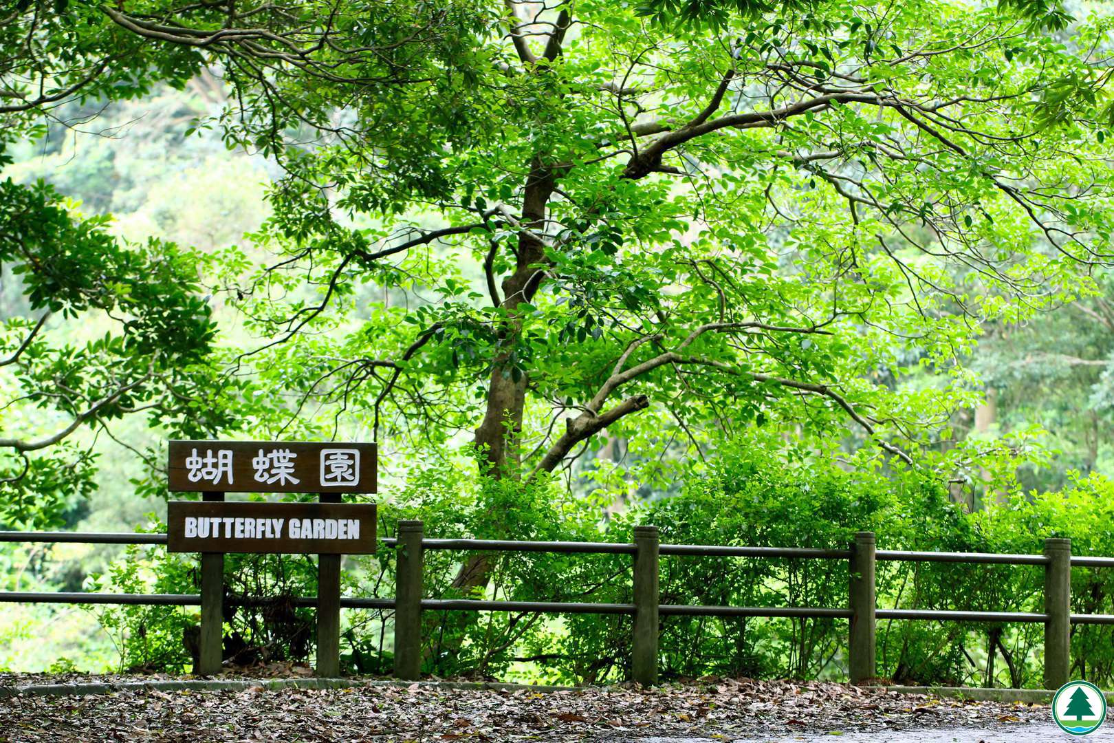 城門蝴蝶園