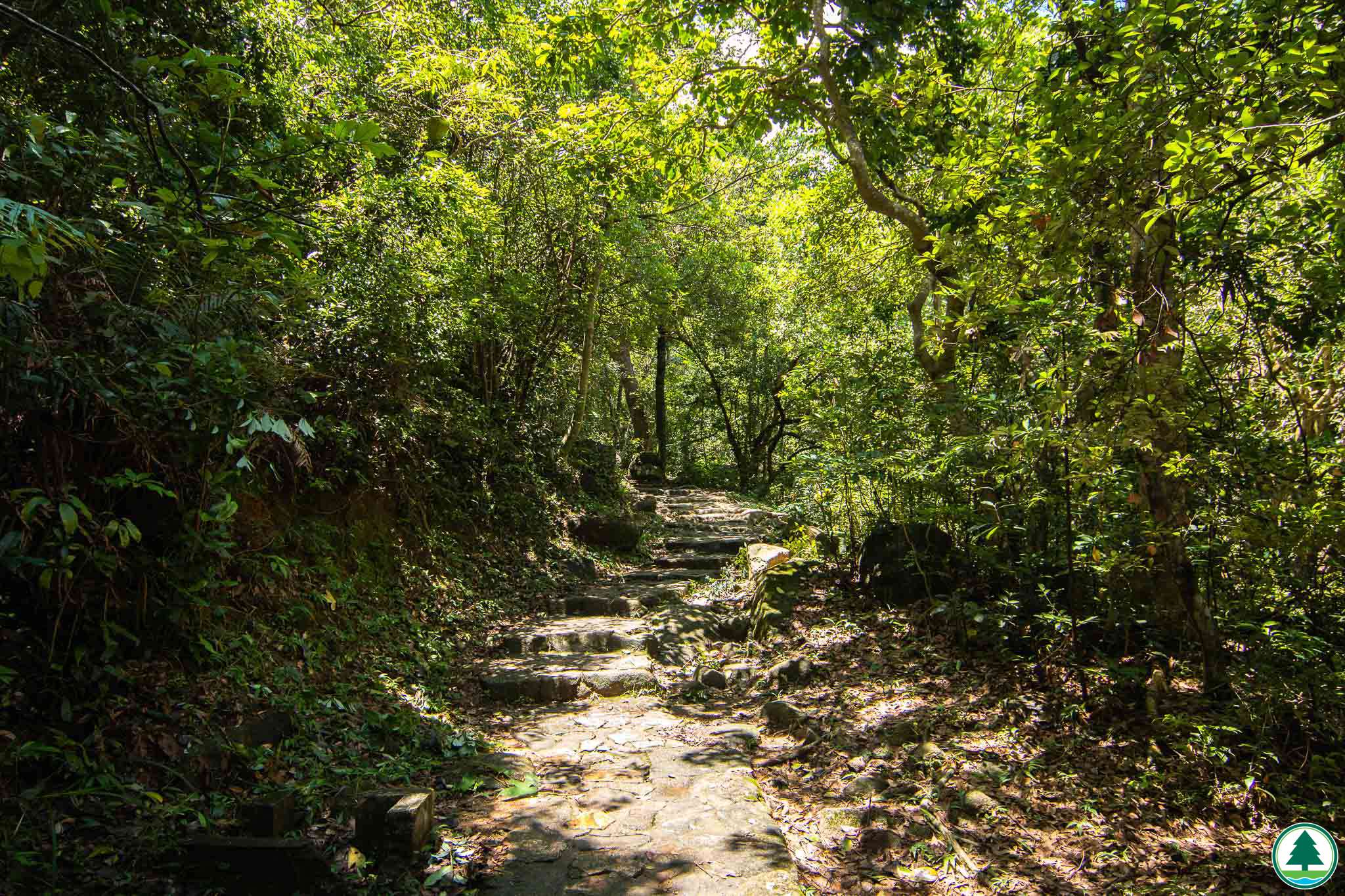 林蔭山徑(沙田坳往水泉澳邨段)