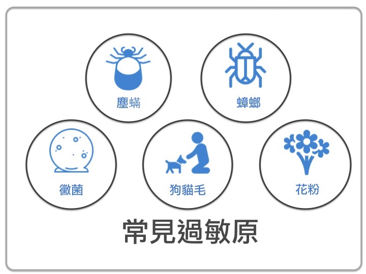 空氣過敏源