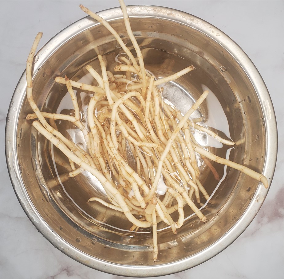 香茅魚腥草茶 