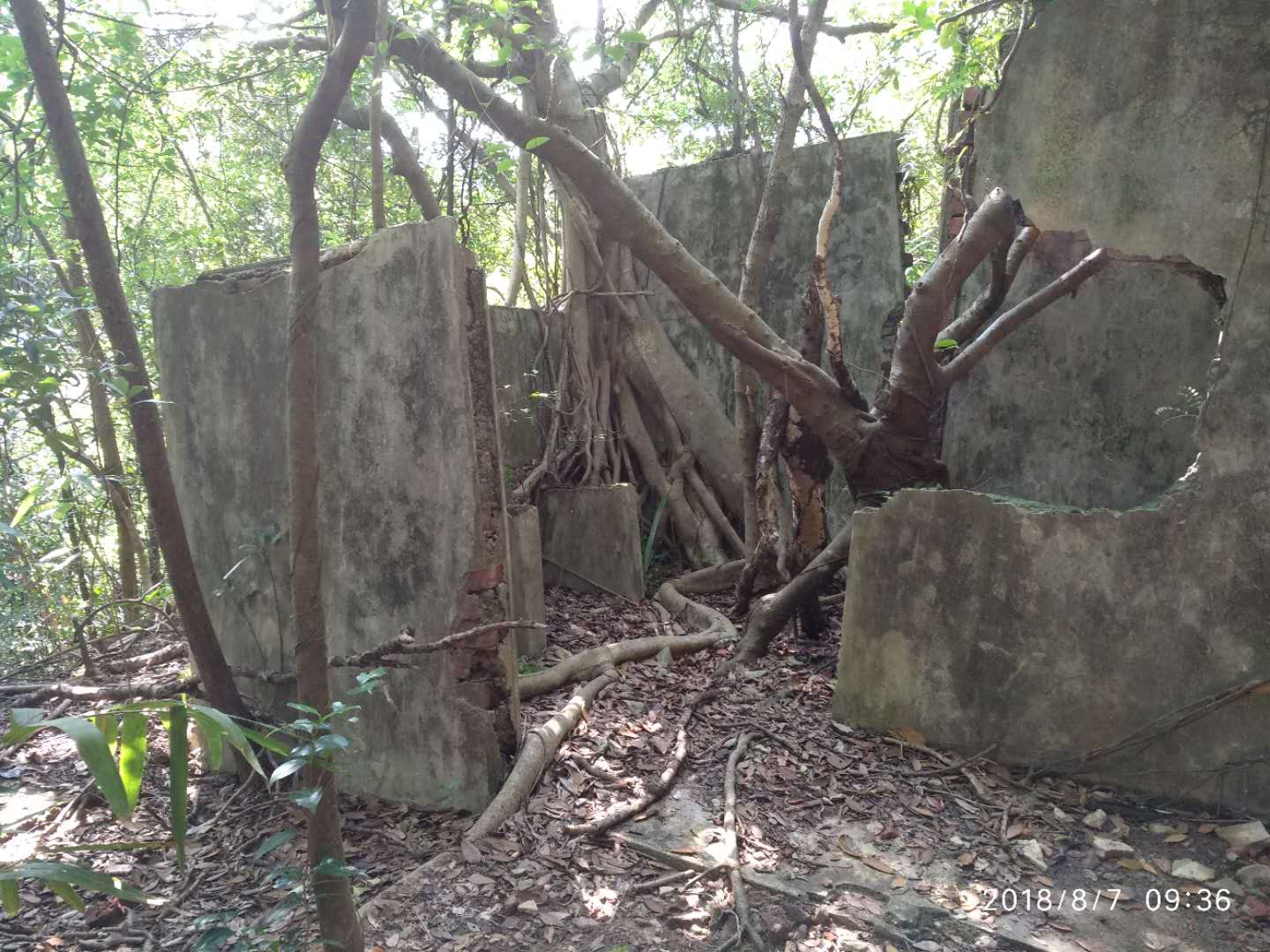 除爐灶外，鰂魚涌樹木研習徑沿途可見二戰英軍據點遺留的倉庫