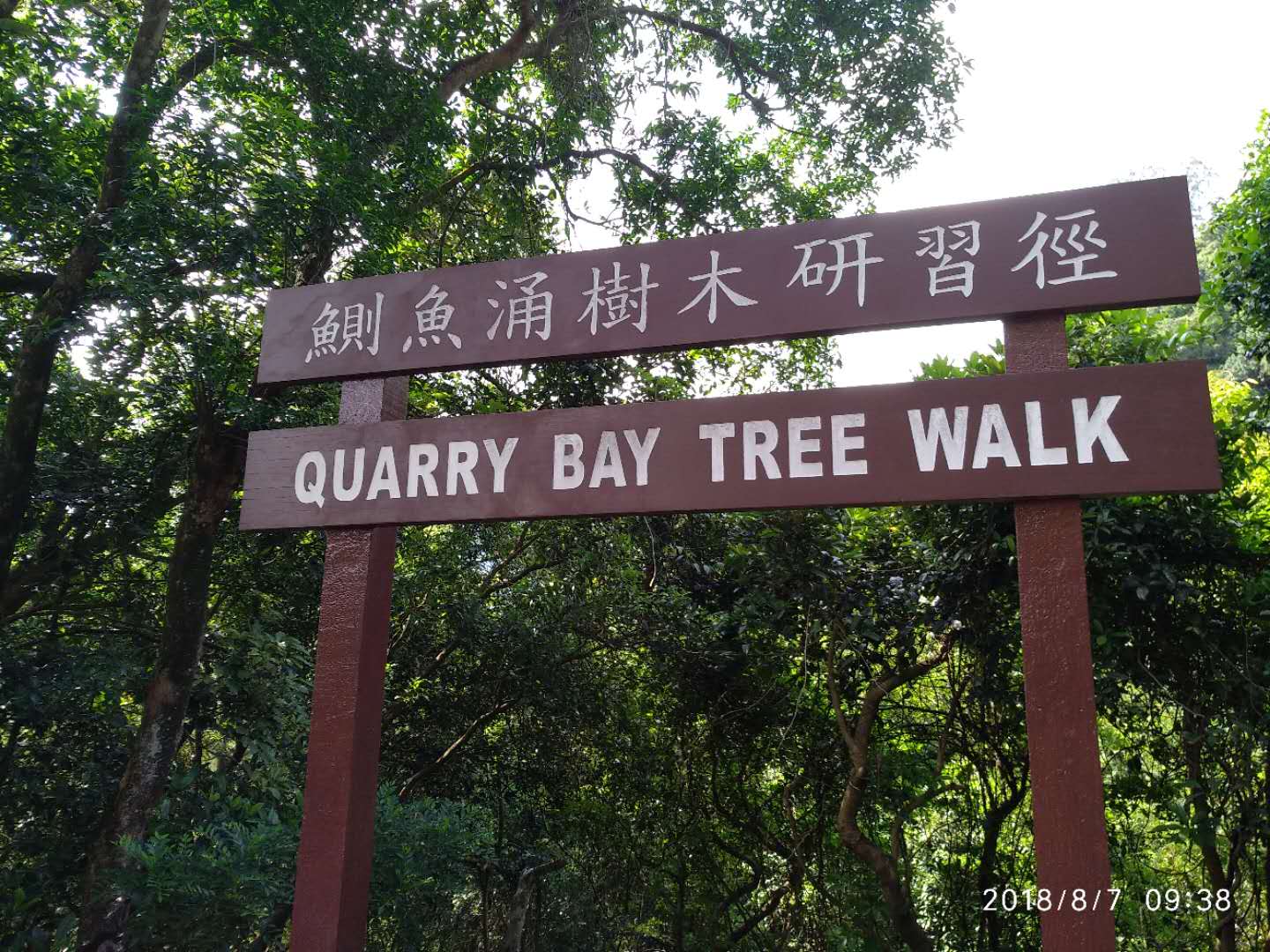 除爐灶外，鰂魚涌樹木研習徑沿途可見二戰英軍據點遺留的倉庫