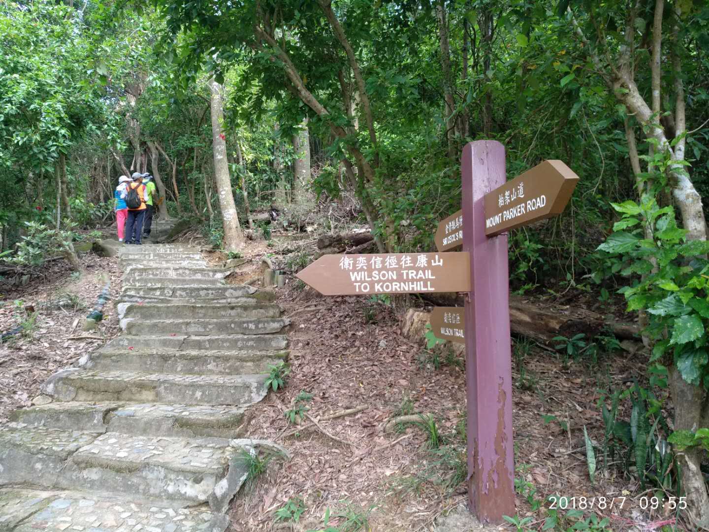 右轉往金督馳馬徑路標上山