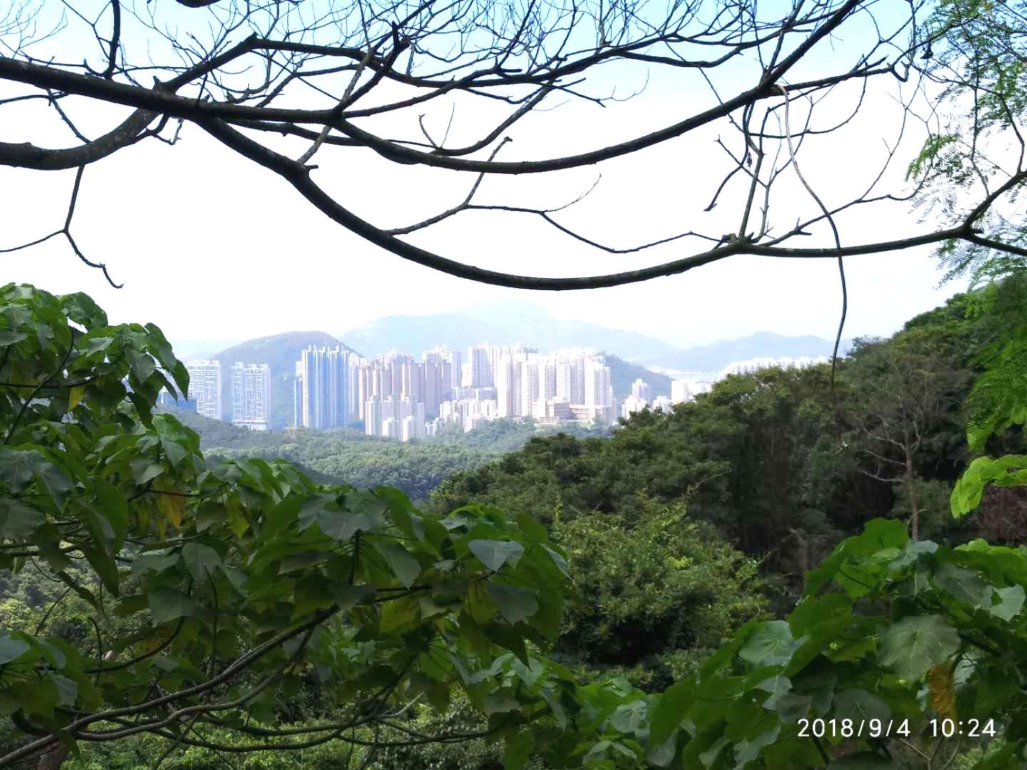 沿途風景和標示