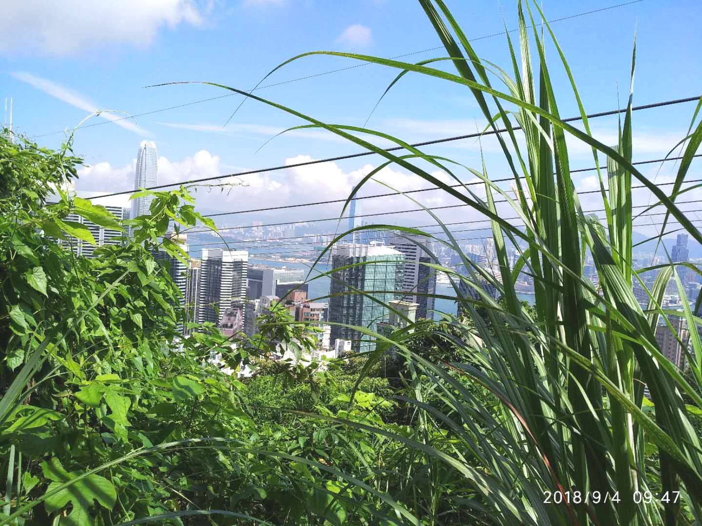 沿途風景和標示