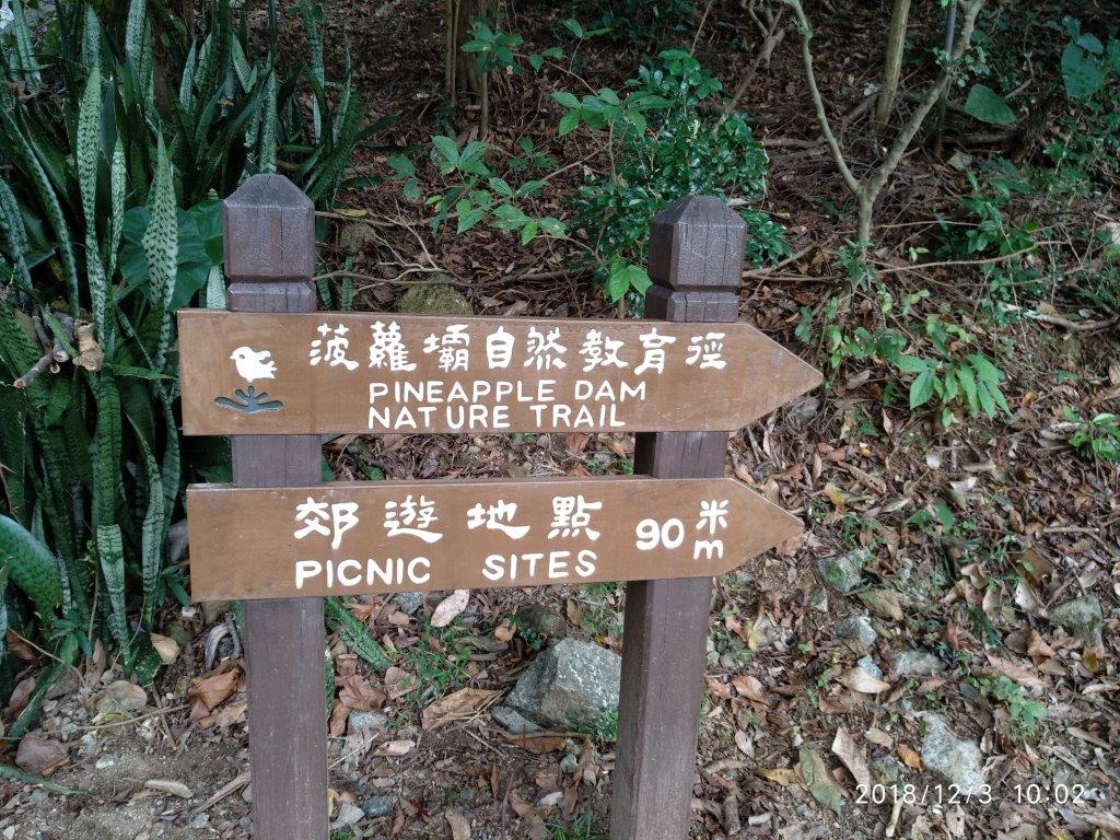 【行山樂】城門水塘遊