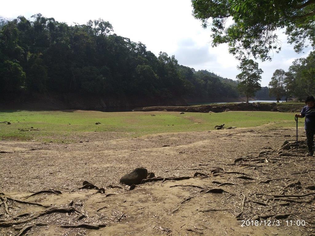 【行山樂】城門水塘遊