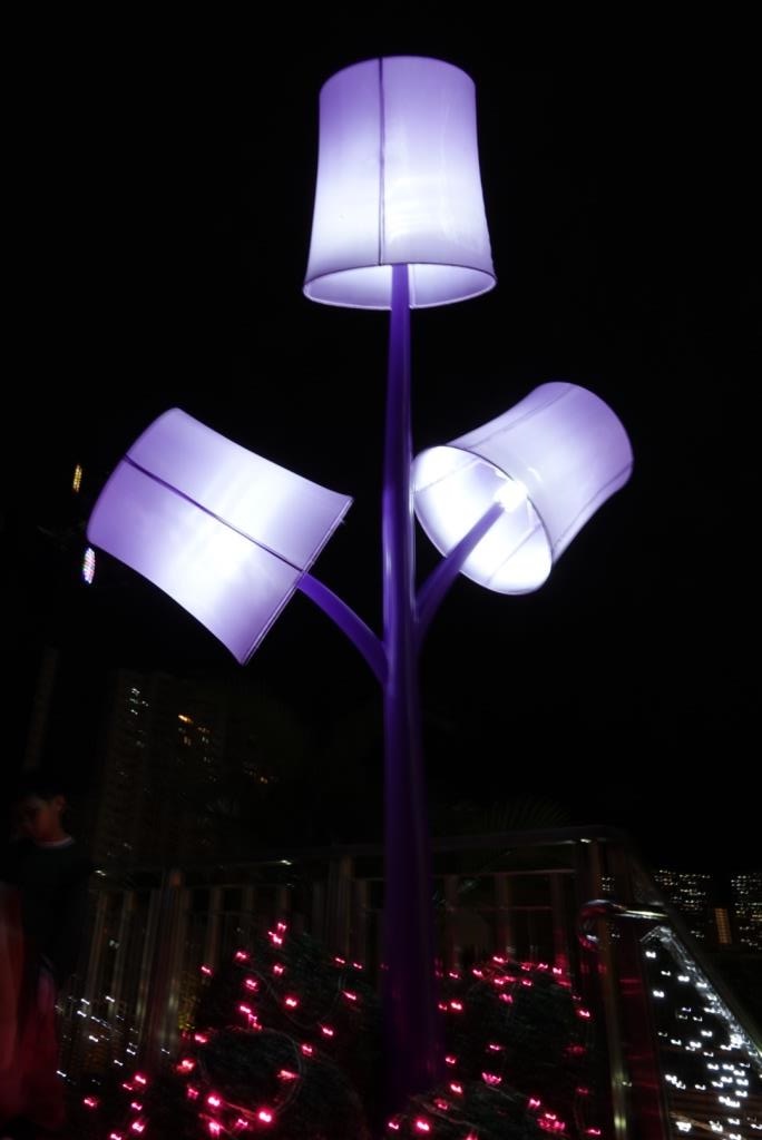 同場加映—沙田新城市廣場7樓空中花園燈飾