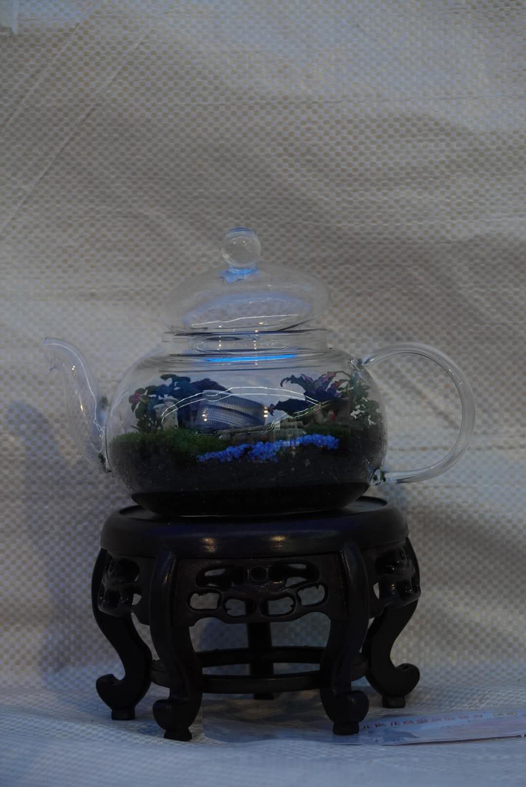 香港北區花鳥蟲魚展覽2018攝影分享