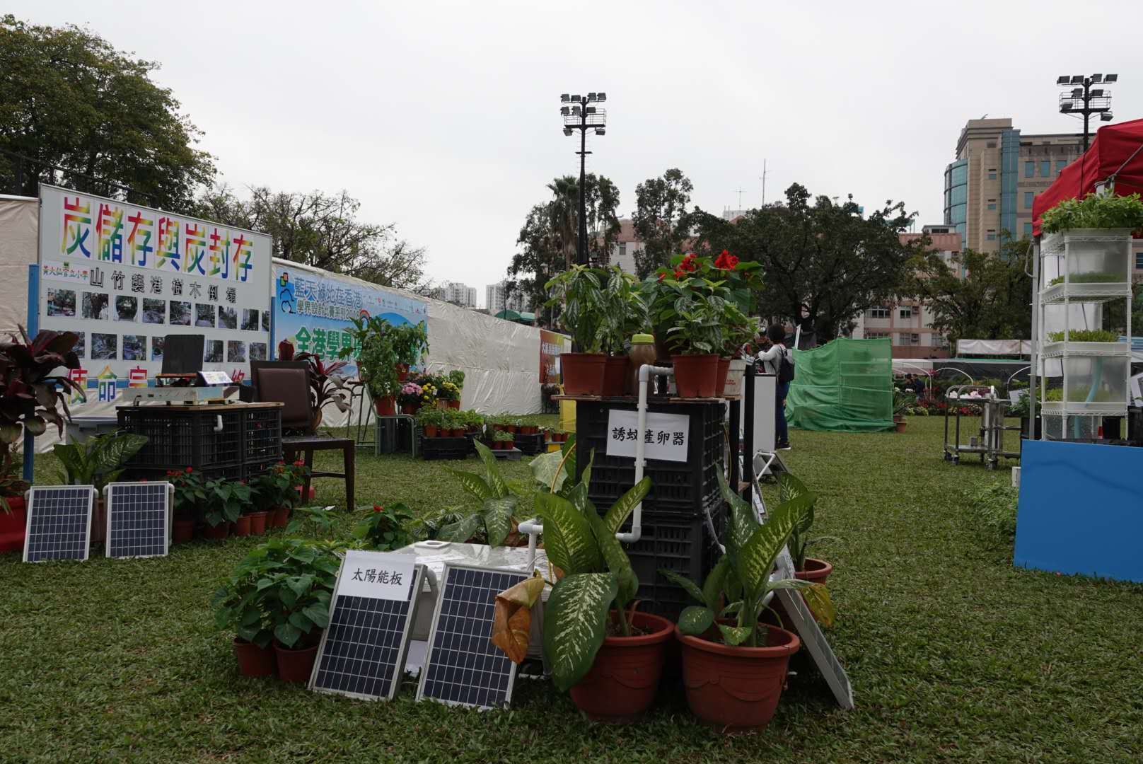 香港北區花鳥蟲魚展覽2018攝影分享