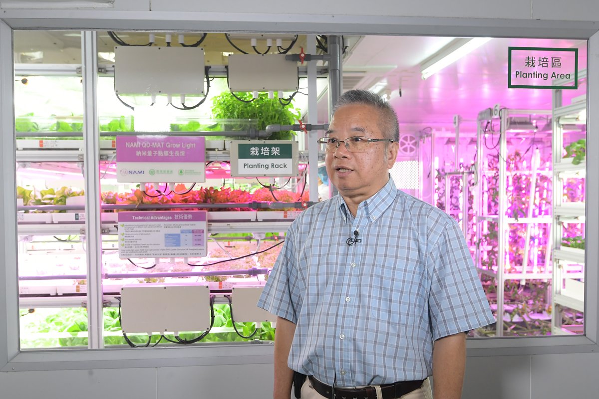 持續發展:  漁農自然護理署農業主任陳兆麟說，署方會繼續推動水耕栽培技術應用的研發，使本地蔬菜生產模式多元化。