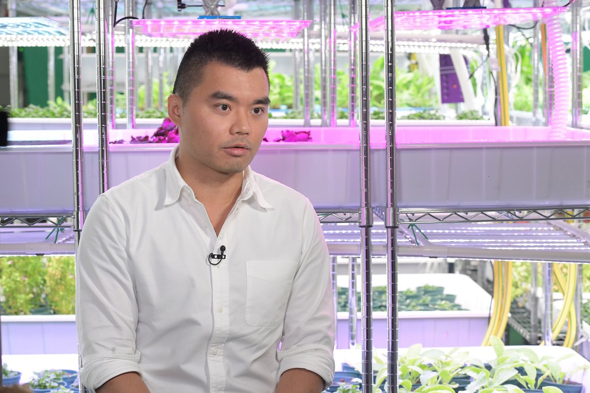 物有所值:  水耕種植公司行政總裁樂梓健說，NAMI設計的納米氣泡系統效果佳，而且價格較從日本進口的同類器材便宜得多。