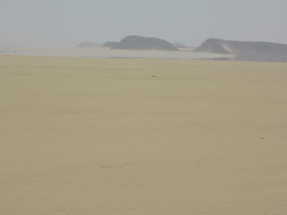 海市蜃樓 旅遊車進入沙漠區時，領隊指向前方並告知大家有海市蜃樓出現！眾人都很緊張及興奮地不停張望，可是大家都說看不見。其實，我當時也是看不見的。不過，我心想：要找緊機會，把握時間才行！我隨即舉起相機，朝著那個方向不停地連環拍攝……噢！我真的捕獲到幾張有海市蜃樓現象的相片，收穫很豐富啊！