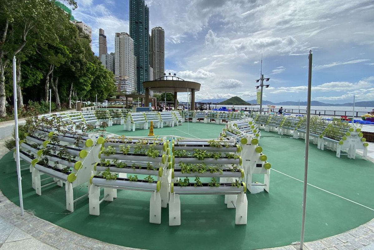 都市綠洲:  毗鄰海濱休憩用地的開放式社區園圃向市民推廣身心健康和社區共融。