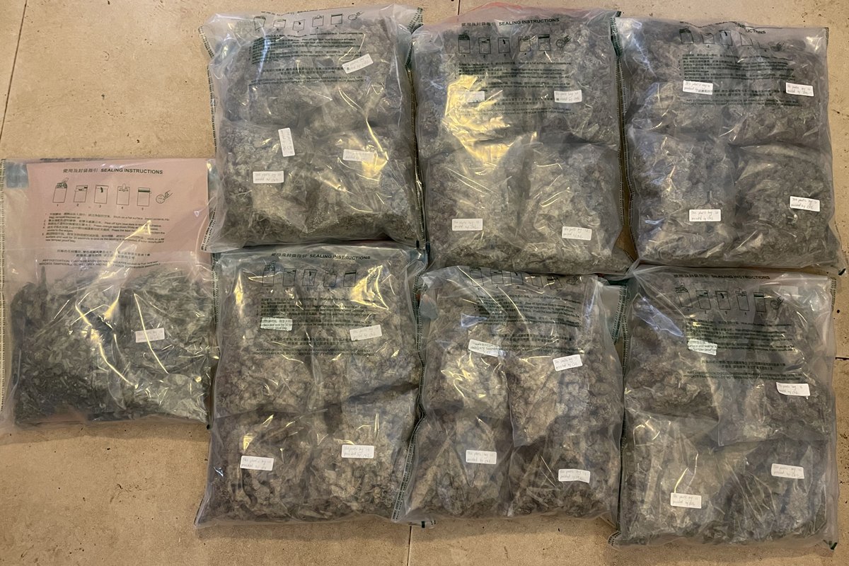 阻截毒品:  海關檢獲一批懷疑大麻花。