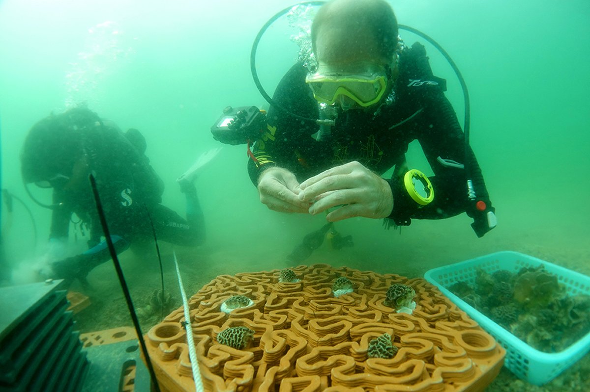 保育生態:  漁農自然護理署與香港大學展開珊瑚礁盤研究，務求在保育現有珊瑚的同時，增加和復育本地珊瑚群落。