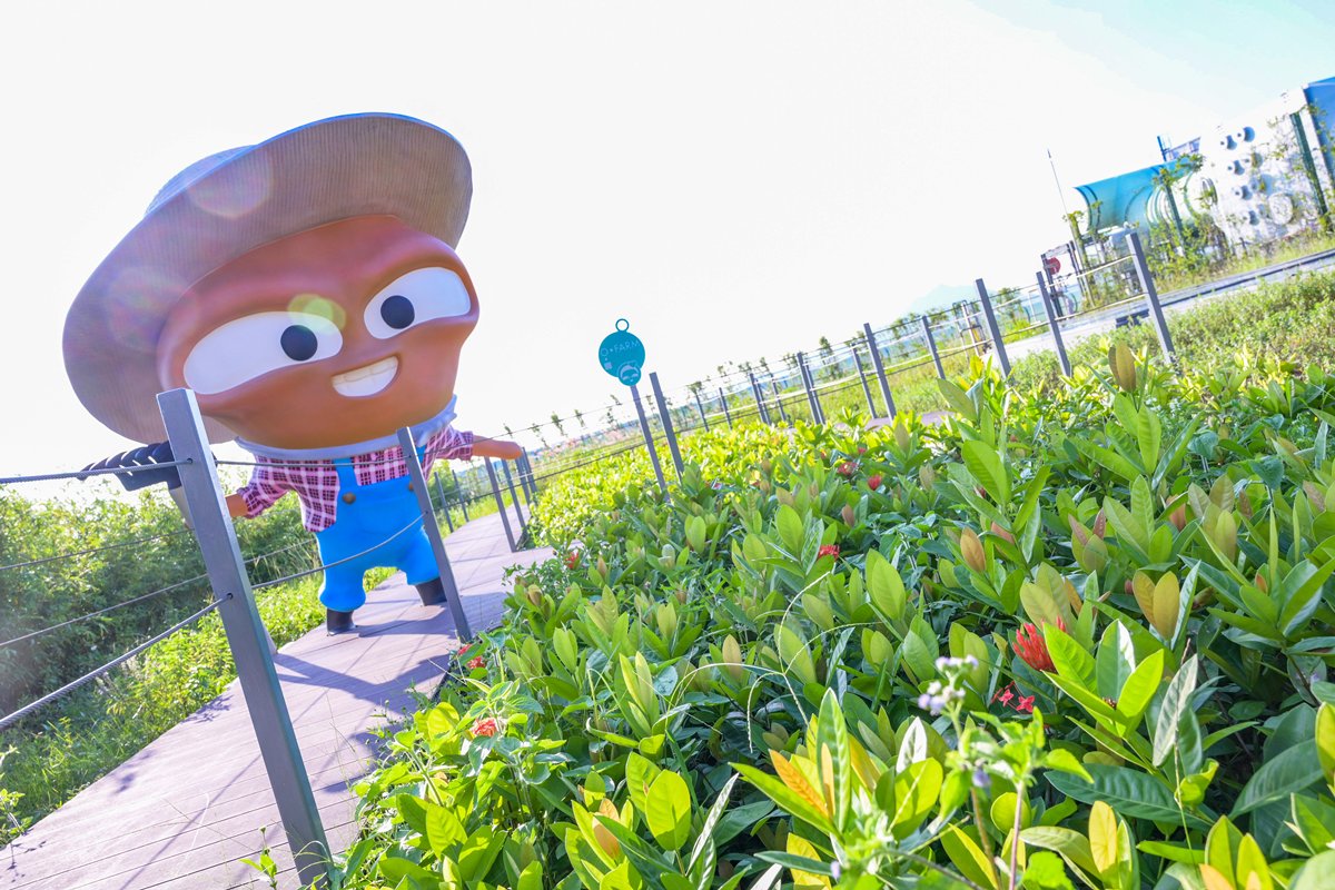 循環再用:  空中花園O．園以至訪客中心內所有植物均以O．PARK1處理廚餘產生的堆肥副產品施肥種植。