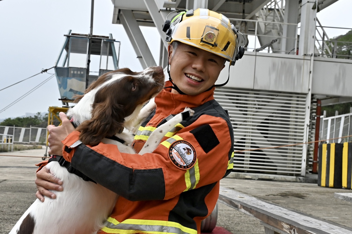 專業隊伍:  消防處現有六隻搜救犬，兩隻屬自家繁殖，四隻由外地購入。