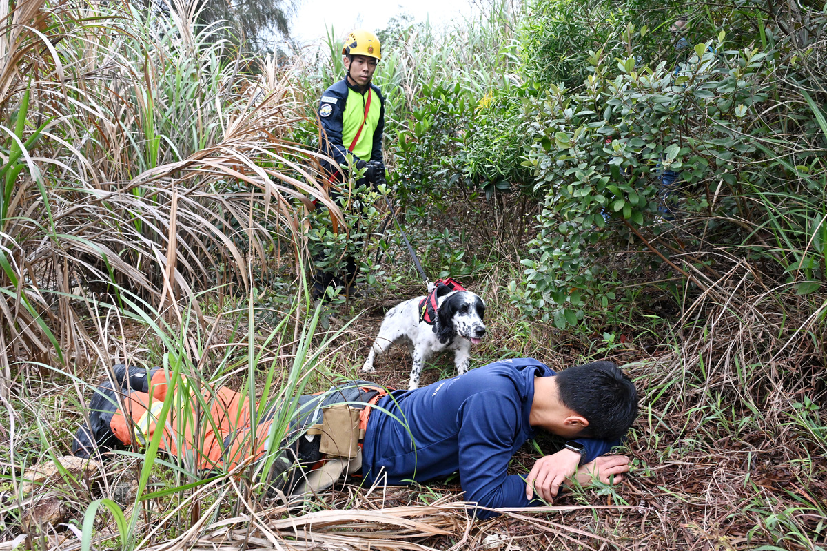 隨時候命:  搜救犬Uma接受山嶺搜救訓練，以應付攀山拯救事故。