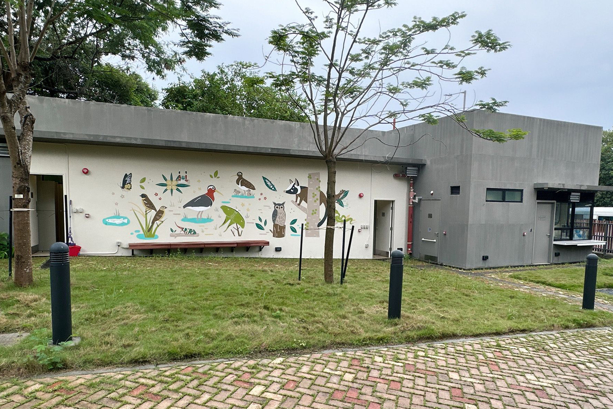 提供支援:  活化後的歷史建築必須符合現行消防及建築物條例，文物保育專員辦事處協助獲選機構與消防處協商，減少影響建築外觀。