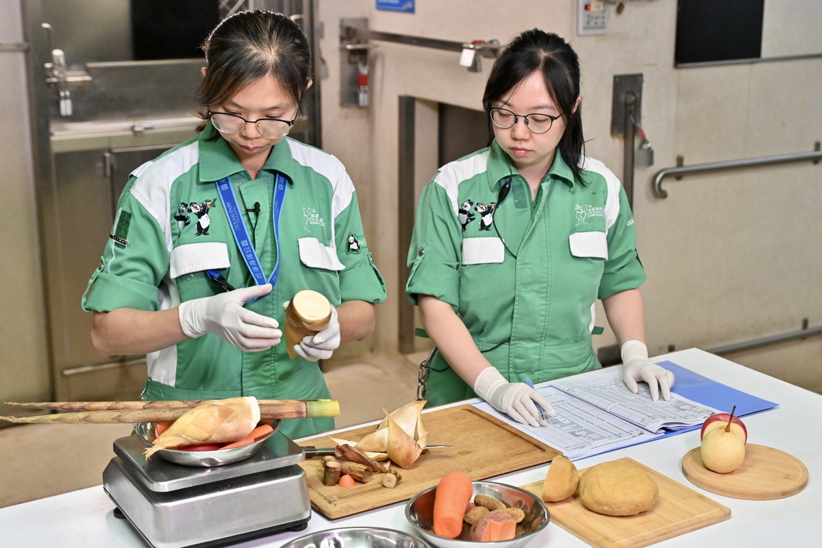 新鮮炮製:  大熊貓的餐單豐富，包括竹子、竹筍、蔬果、高纖維餅乾和新鮮蒸製的窩窩頭。