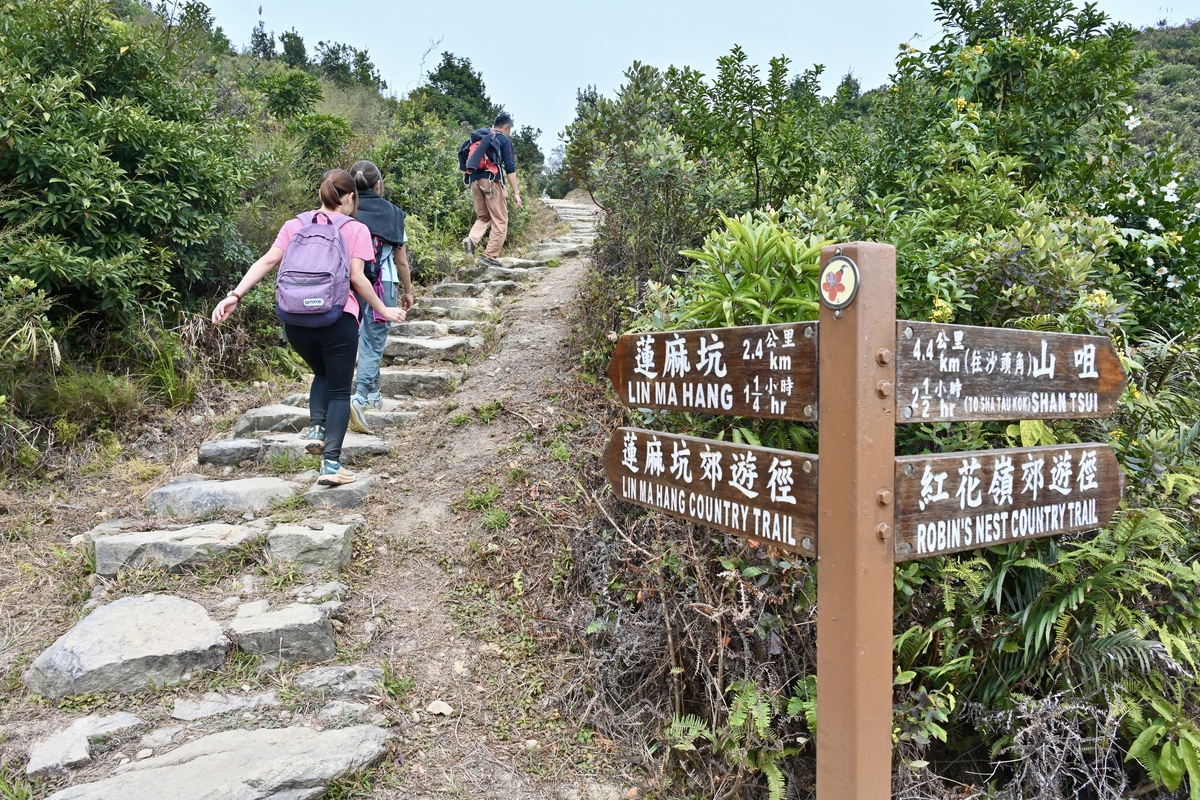 香港北陲:  紅花嶺郊野公園設有兩條郊遊徑，貫通西面的蓮麻坑村和東面的沙頭角山咀。