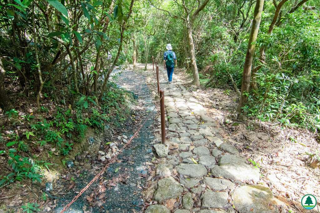 古道 (左面為修復路段)