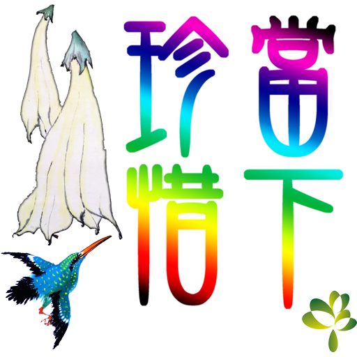 bird-8-珍惜當下512_0.png