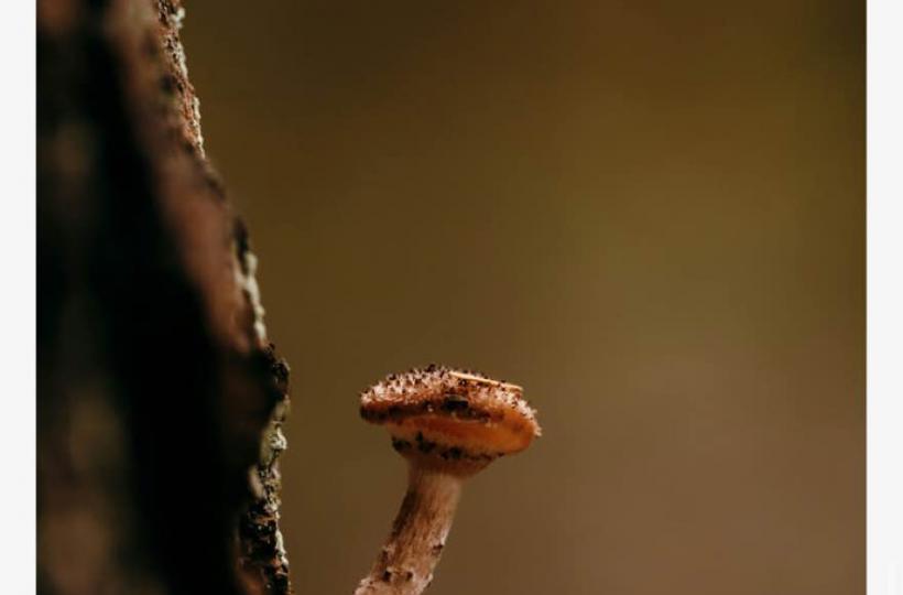 0120EA21-8549-4D16-AFEB-4825E1280078-8612-0000021F442B7EB9