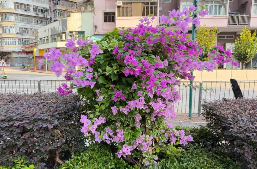 02E5E780-8FDD-4962-A8F9-82D8223201E8-779-00000006F44F0932