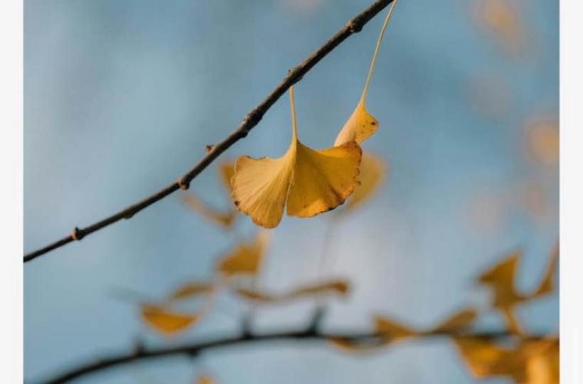 03CD56EB-99BC-4662-8B3B-031A29EFC1CF-20209-0000060D46125178