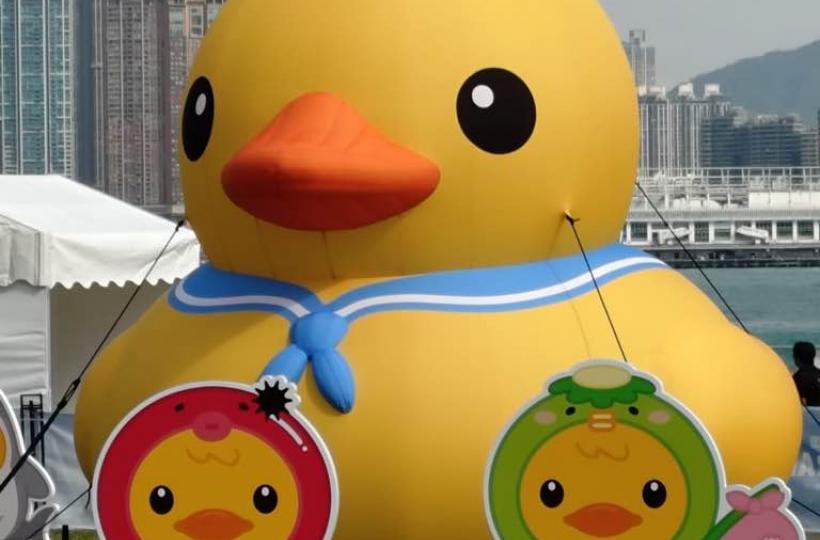 080C2E0B-4D7A-483C-A27B-E681659A8EC7-526-00000032CDA1FDBA