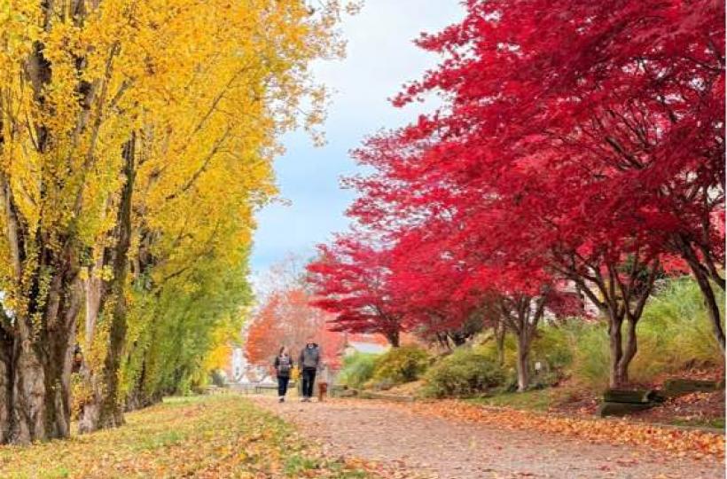 0E825534-C563-4A38-A6D4-F8965DE863B1-1478-0000002907B5ADE9