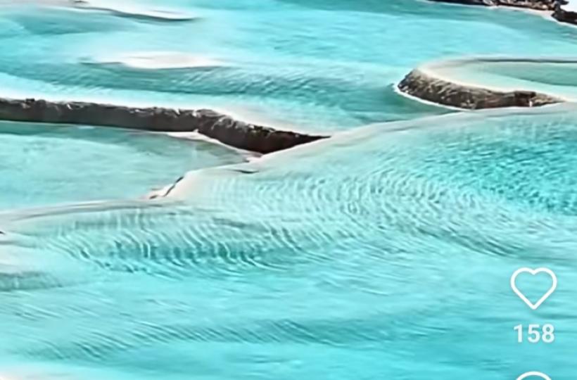 1000007047