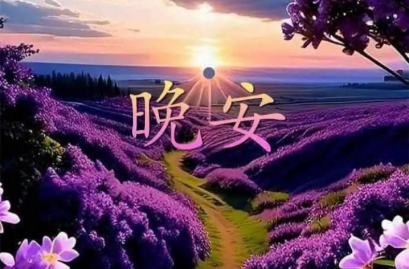 1000007768