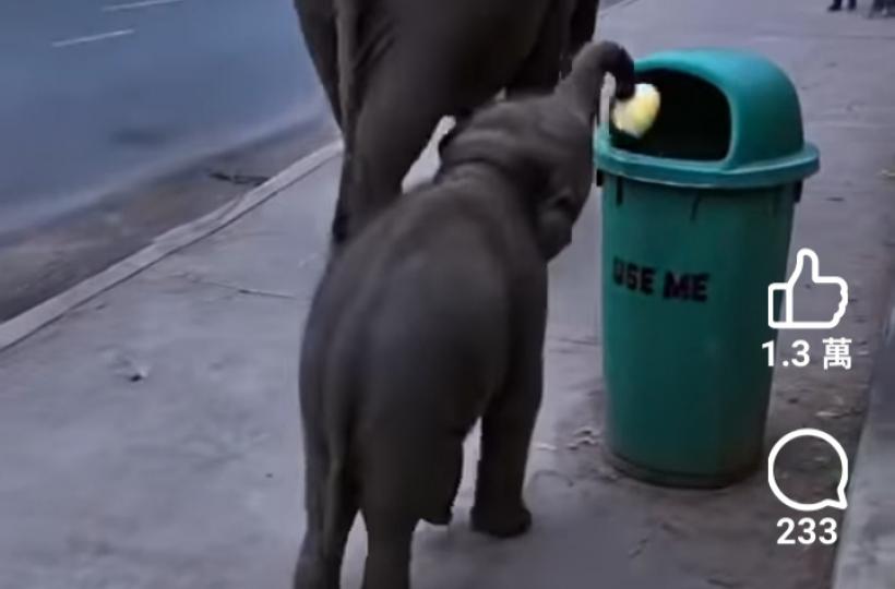 1000010641