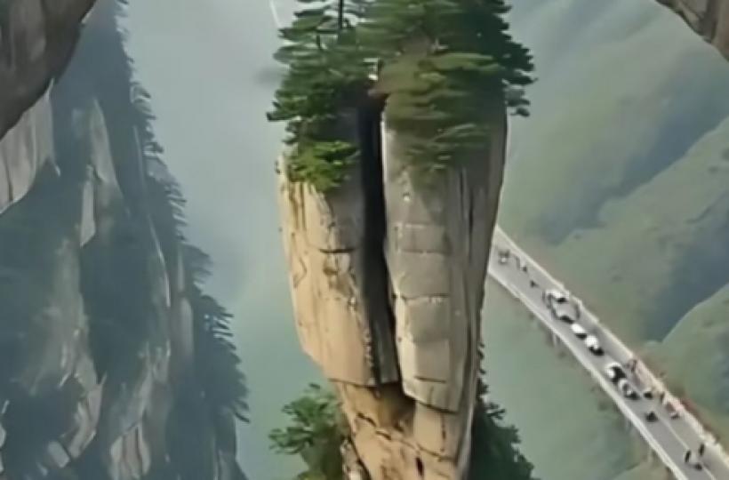 1000011403_0