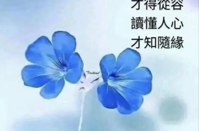 1000011584