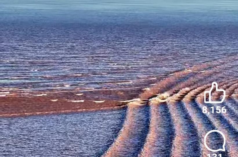 1000011839