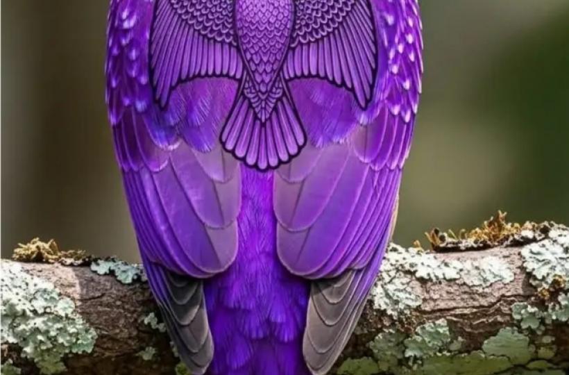 1000012227