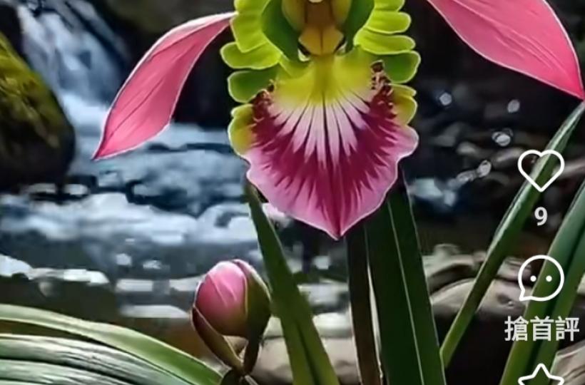 1000012253