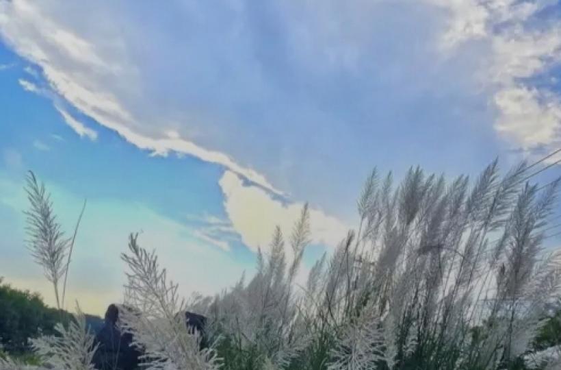 1000012831