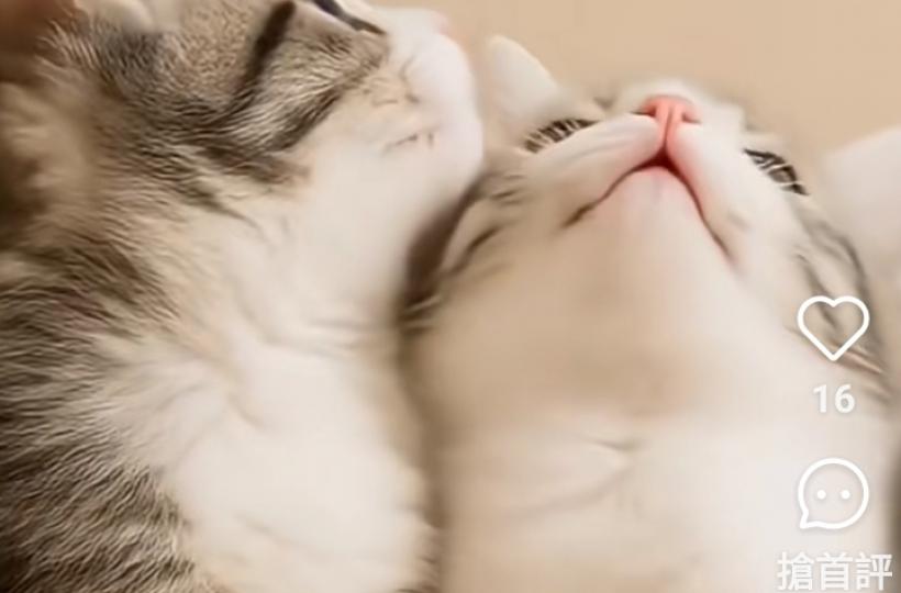 1000013710