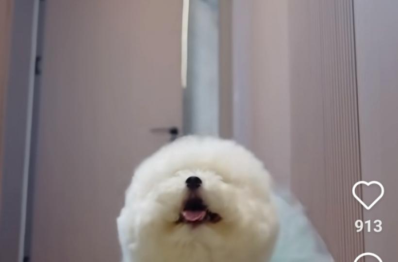 1000013925