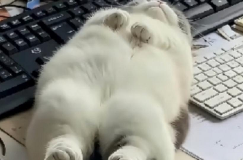 1000013941