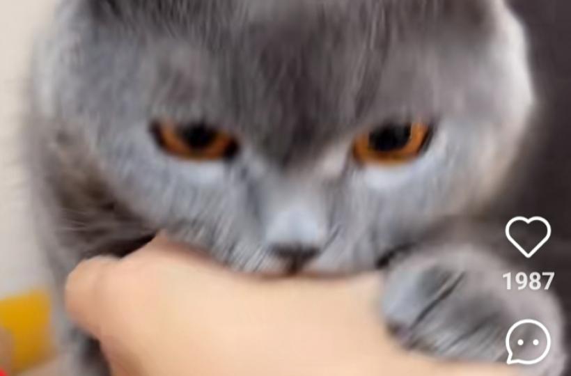 1000013946