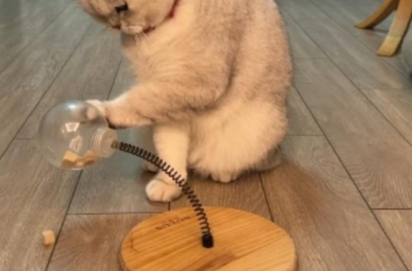 1000013987