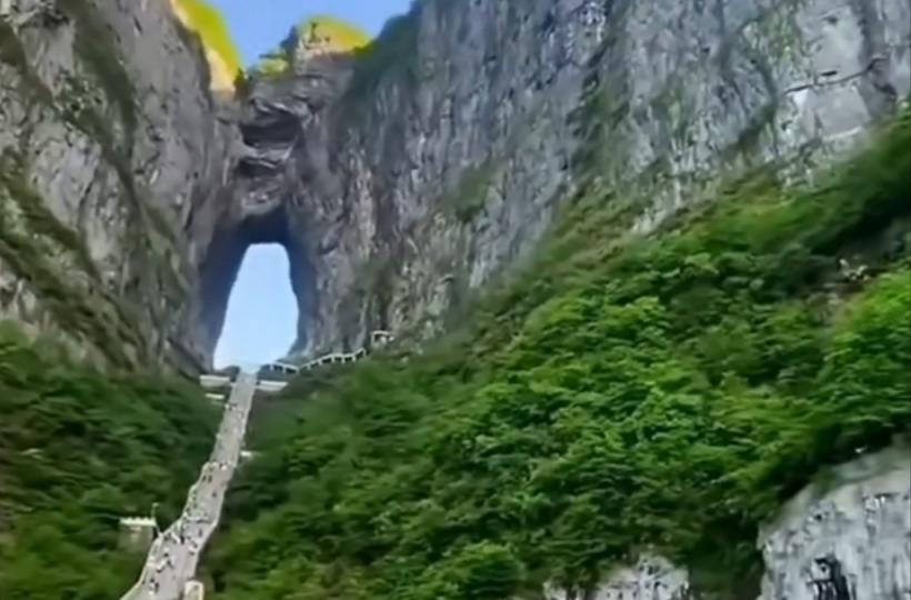 1000030195_0